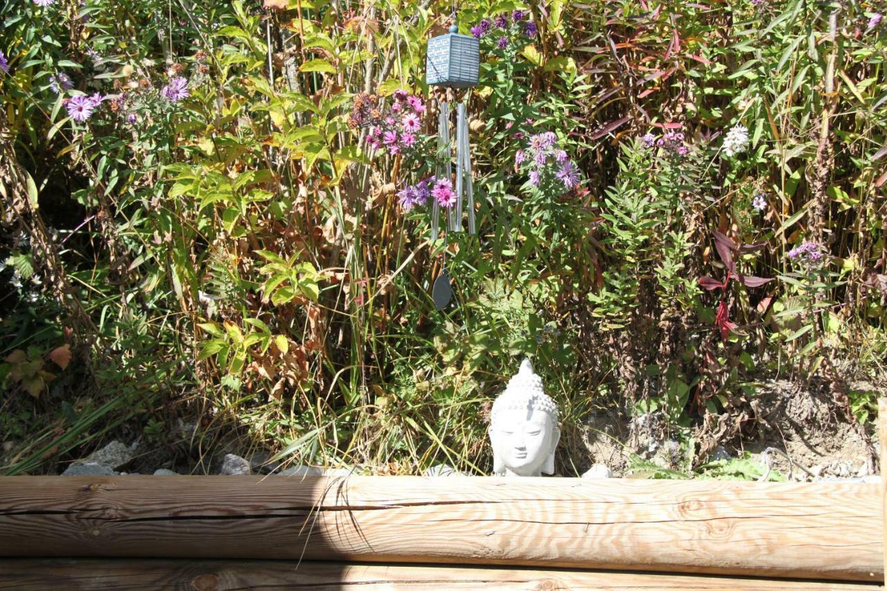 Clos Shambhala-Chalet D'Hotes Saint-Jean-Saint-Nicolas 外观 照片
